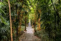 Bisma Eight Hotels near Ubud