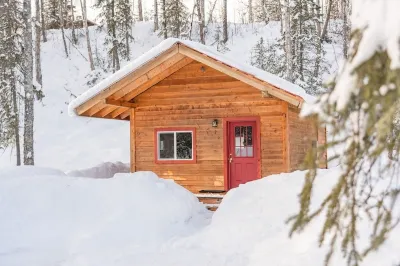 Spruce Cabin