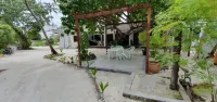 Surf Deck