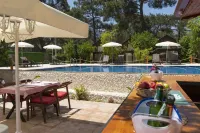 Koala Bungalows - piscina