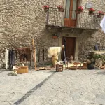 San Nicolò Holiday Home Hotel di Tripi