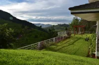 Green Nest Resort Ooty Nilgiris otelleri