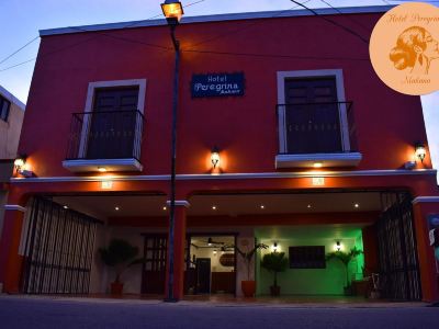 Hotel Peregrina