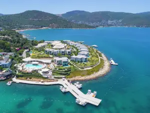 Top 10 Premium Hotels in Torba