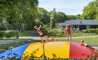 Campsite - Cozy Tentlodge with Roofed Terrace in a Green Area