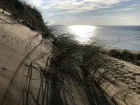 Le Verdon, mer - Villa pour 6 avec piscine, 700m de la plage