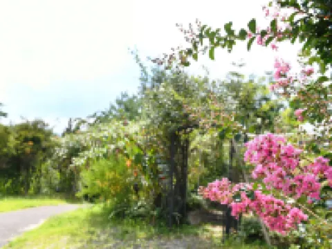 Hotel Koryu Hotels near Kawaguchiko Museum of Art