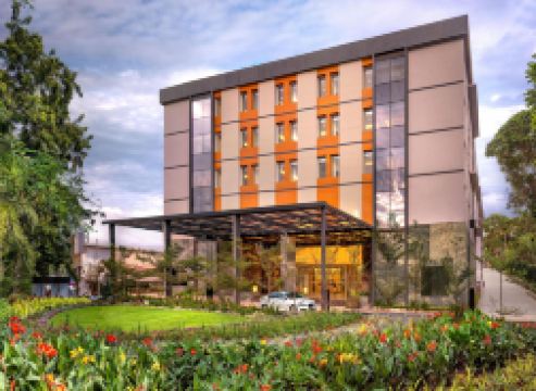 O by Tamara Coimbatore