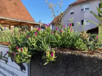 Gästehaus Rheinstetten Forchheim