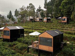 Bobocabin Dieng Wonosobo