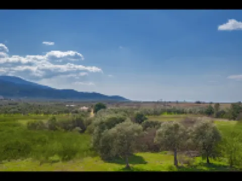 Thassian Riviera Hotel