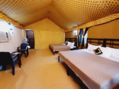 Ranthambhor Tiger Valley