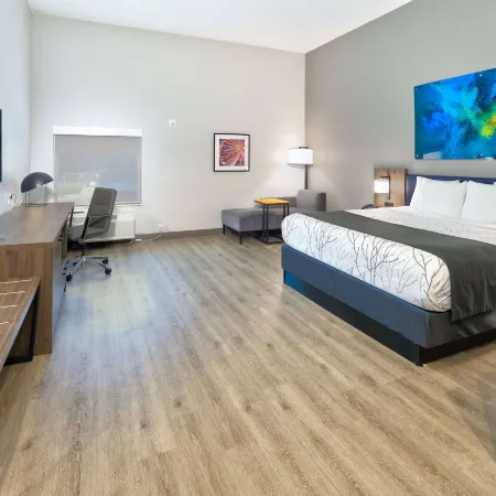 La Quinta Inn & Suites by Wyndham Dallas/Fairpark Отели рядом с достопримечательностью «Дендрарий Далласа»