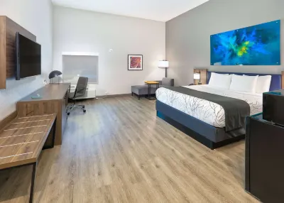 La Quinta Inn & Suites by Wyndham Dallas/Fairpark フェアパーク周辺のホテル