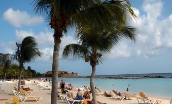 Dolphin Suites & Wellness Curacao