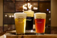Hotel Okura Fukuoka - bar