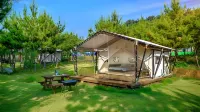 Seocheon Paintree Glamping Hotels in Seocheon-gun