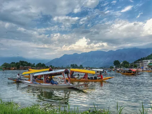White House Group of Houseboats