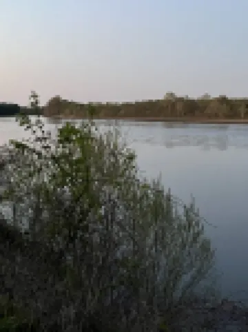 Fisherman's Paradise & Family Fun Cabin Just Minutes to PickwickLake & StatePark