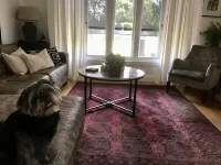 OJ's - Luxury Retreat Minutes from Shopping and Restaurants