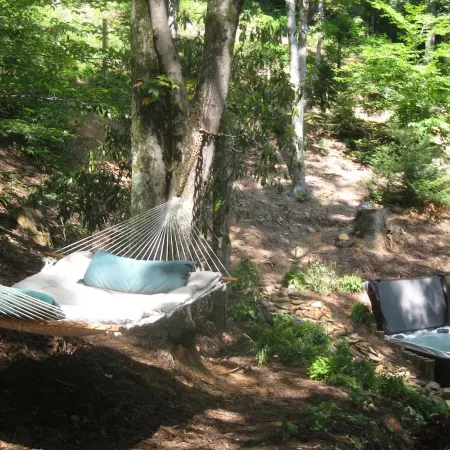 Private Getaway-17 miles to Asheville,  Hot Tub & Fireplace, Pet Friendly