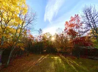 A-Frame of Mind