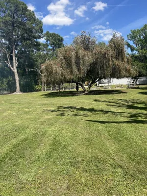 Hidden Gem! Waterfront Private Lake, Epperson Lagoon 5 Mins, Canoe/Fish/Relax.
