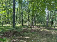 Cozy Cabin- Close to all up North activities! Cabin in Irons.