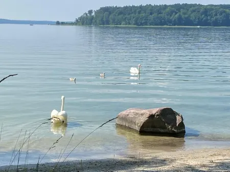 Tern with lake view and terrace, beach, jetty