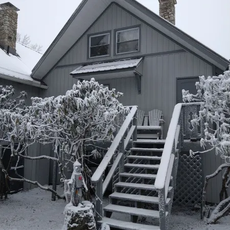 Welcome to the stunning Bergbewohner ski chalet!