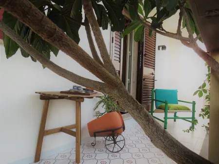 Villa Rosa Residence Green