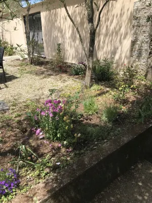 Gîte L'olivier Hotels near Etoile Verte Basket