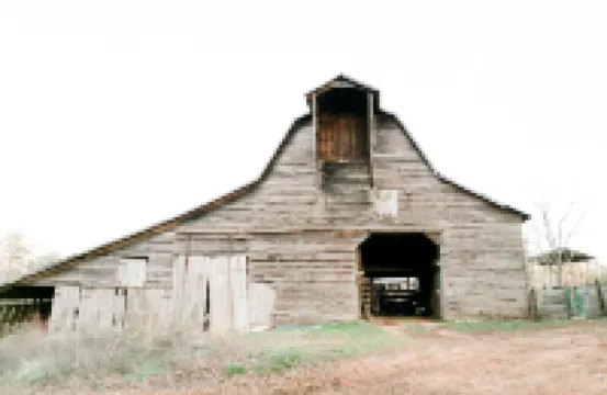 Historic 1880 Farmhouse with Modern Southern Charm