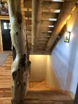 Private Log Cabin with breathtaking views on 15 acres adjacent to forest service