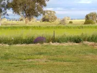 Rendezvous@Rutherglen