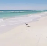 30A LUXURY CONDO SANCTUARY AT REDFISH. GULF and LAKE VIEWS with PRIVATE ACCESS!