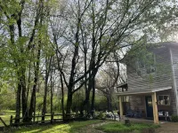 Unique TreeLoft with 360° views of treetops. Near Natchez Trace and Reservoir.