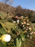 Beautiful rusticoat 7 km from Lake Orta with exclusive wood-fired Hot Tube Hotels in Casale Corte Cerro
