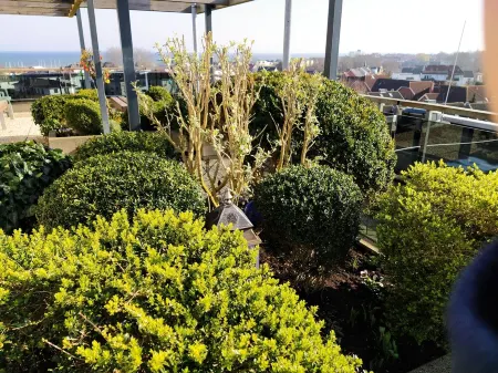 Ostseeperle Modernly furnished with swimming pool