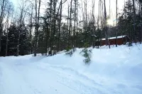 Moonlight Woods - Alchemist's Log Cabin
