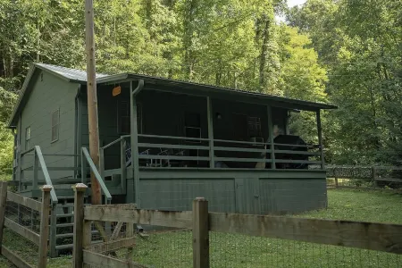 Remote, Cheerful Mountain Cabin in Franklin, NC. Отели в г. Эллиджей