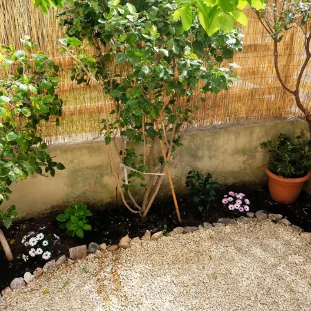 100 m from the Beach for 2-6 Persons, 3-Bedrooms Apartment Wth AC +Little Garden