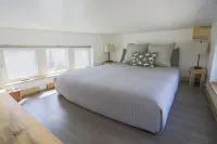 Stargazing in the San Juan Forest - Tiny Home Pair