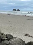 Bella Vita: 2 Bed 2 Bath: Beach: Fireplace: Pet-Friendly - Beach