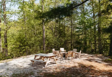 Lumber Lodge RRG - COMFY WOODSY STAY - in RRG/Auxier