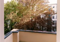 Bezaubernde Altbauwohnung im Herzen von Magdeburg