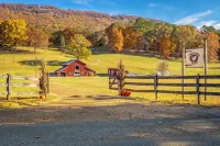Tadpole Cabin at Creek Road Farm