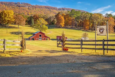 Tadpole Cabin at Creek Road Farm