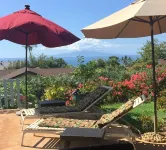 Honeymooner's Delight, Private Pool & Property,Ocean Views, close to beach.