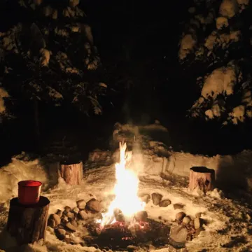 Cozy, Quiet Old Forge Getaway, just Minutes from The Fulton Chain Lakes